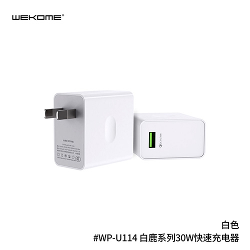 WEKOME WP-U114 Wall Charger