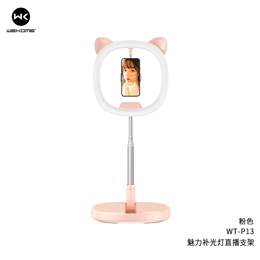 WEKOME WT-P13 Selfie Holder With Light For Live Stream