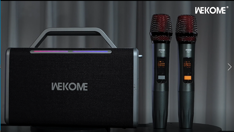 WEKOME Wireless Speaker Beluga D1