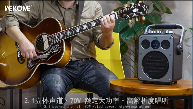 WEKOME HIFI Wireless Speaker Beluga D7