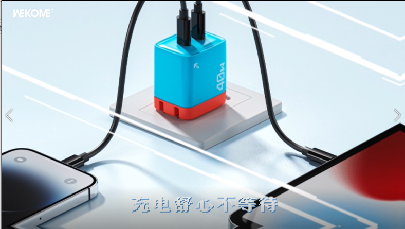 WEKOME WP-U09 Wall Charger