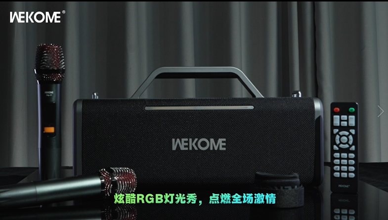 WEKOME Beluga D2 Wireless Speaker