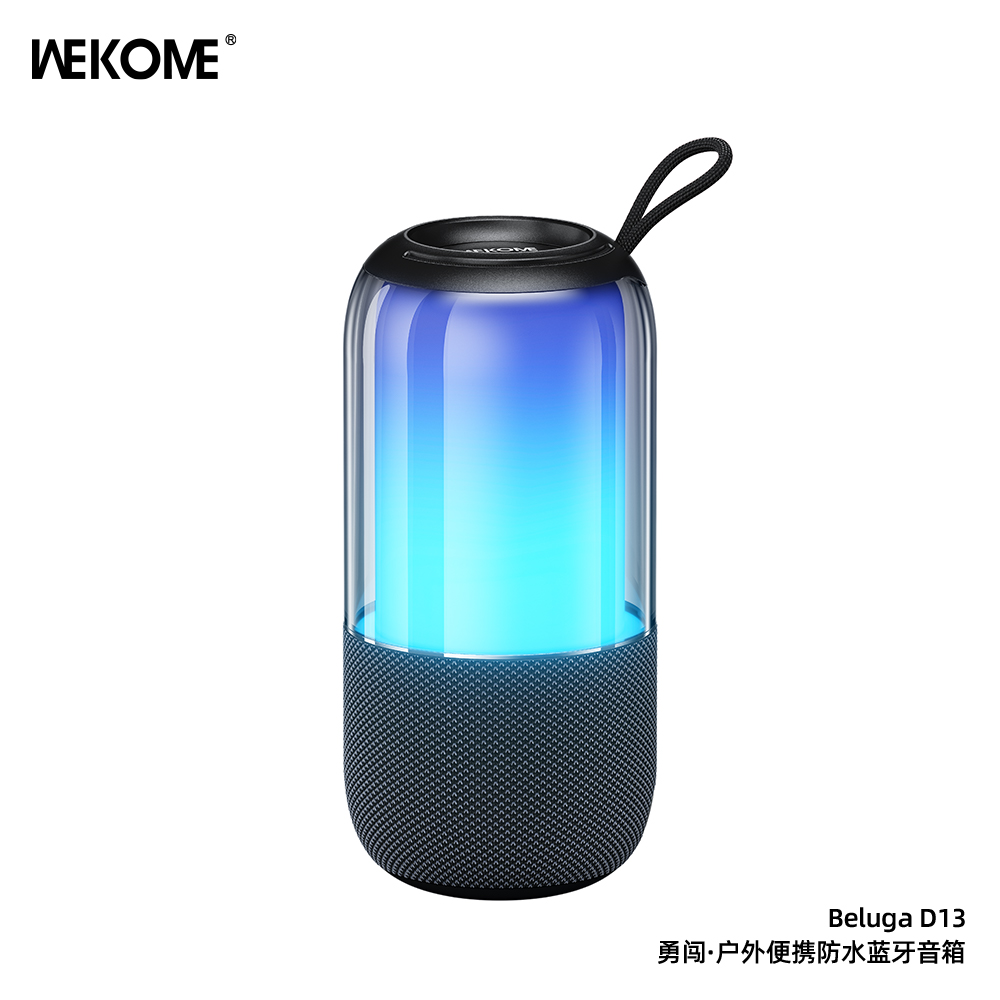 WEKOME Beluga D13 Wireless Speaker