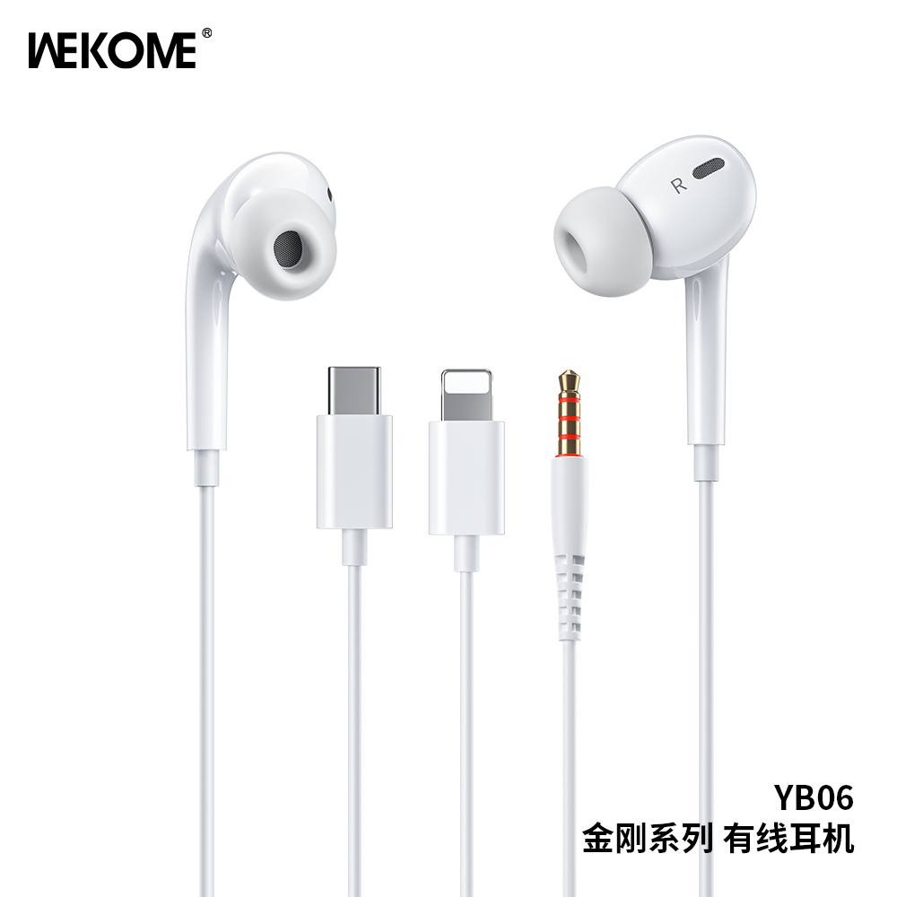 WEKOME YB06 Wired Earphone