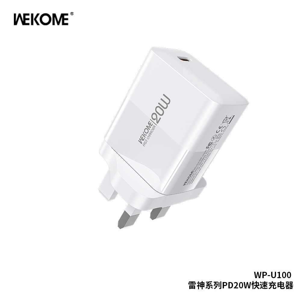 WEKOME WP-U100 Raytheon Series Fast Charger PD20W (UK)