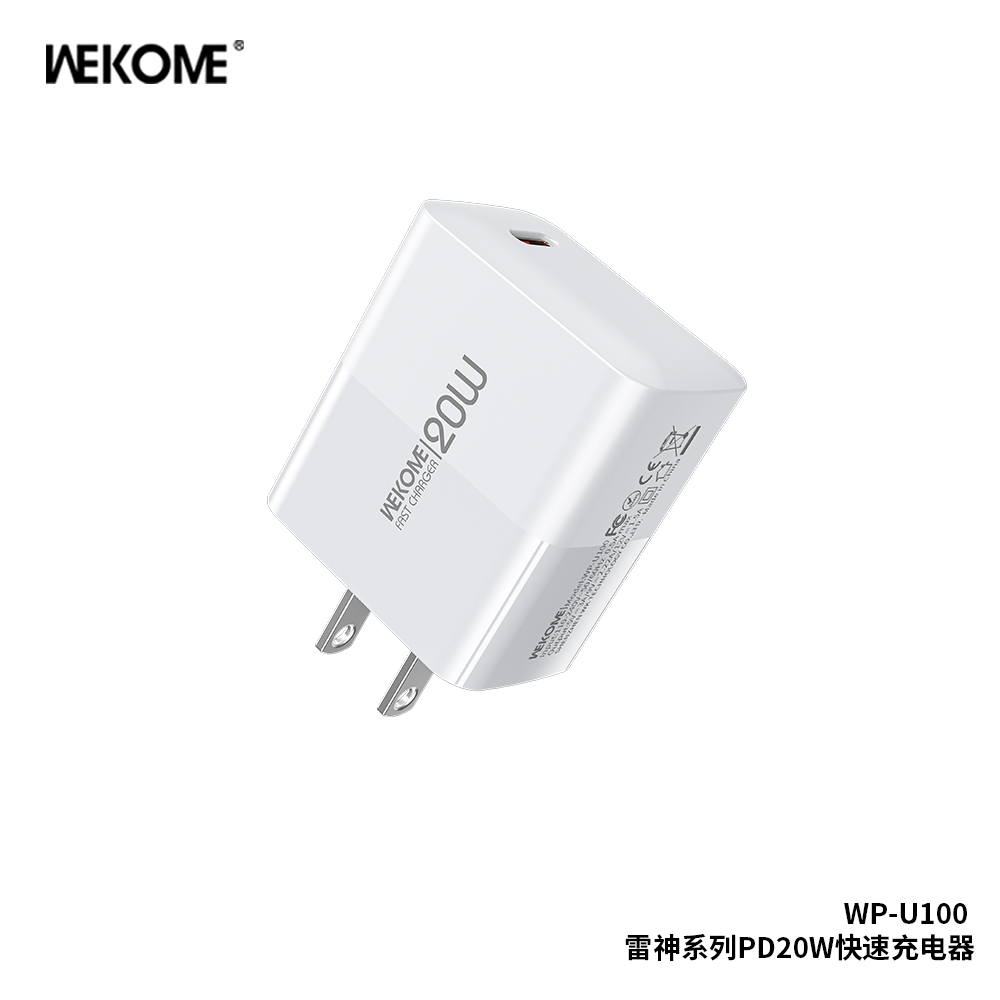 WEKOME WP-U100 Raytheon Series Fast Charger PD20W (US)